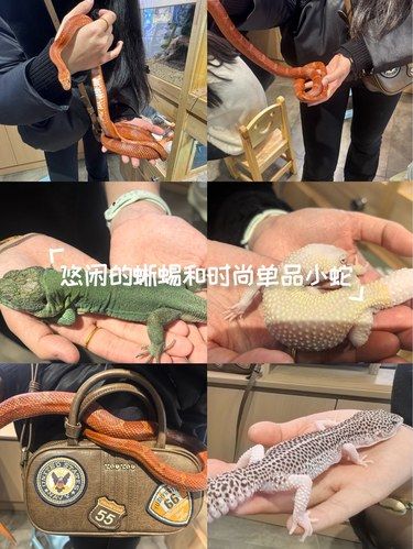 时尚单品