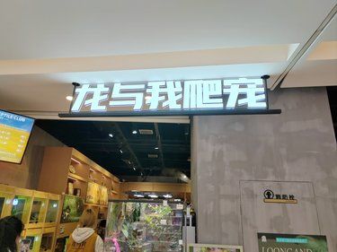 扬州——爬宠初体验