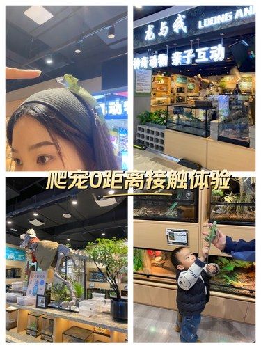 第一次接触爬宠！