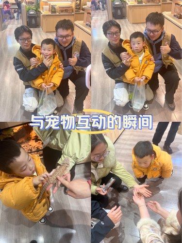 到底是谁到现在还没有摸过小宠物的呀？