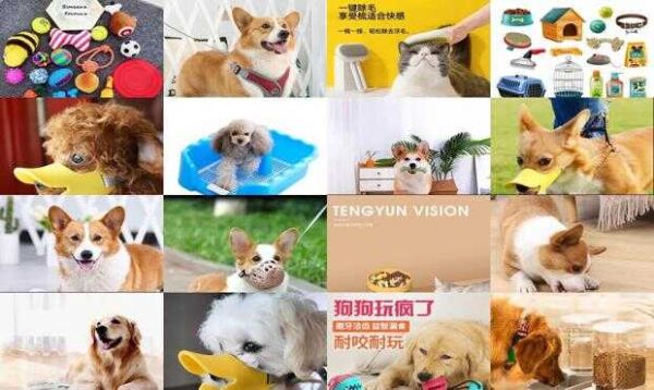 狗狗用品图片
