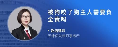 被狗咬了狗主人需要负全责吗