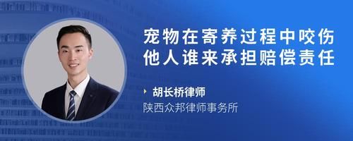宠物在寄养过程中咬伤他人谁来承担赔偿责任