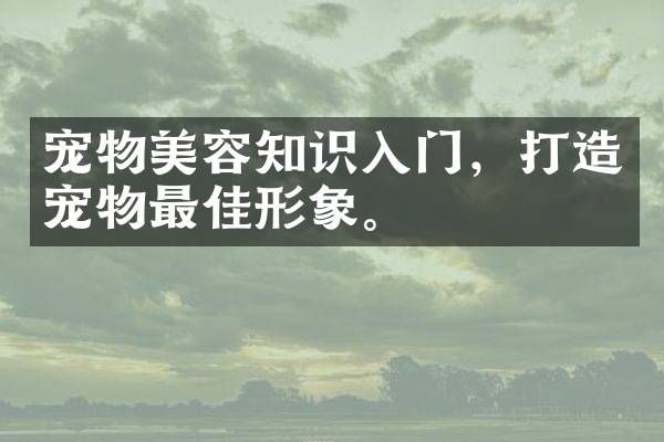 宠物美容知识入门，打造宠物最佳形象。