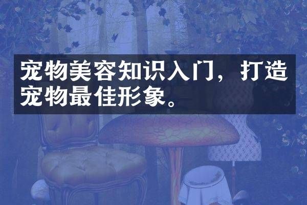 宠物美容知识入门，打造宠物最佳形象。