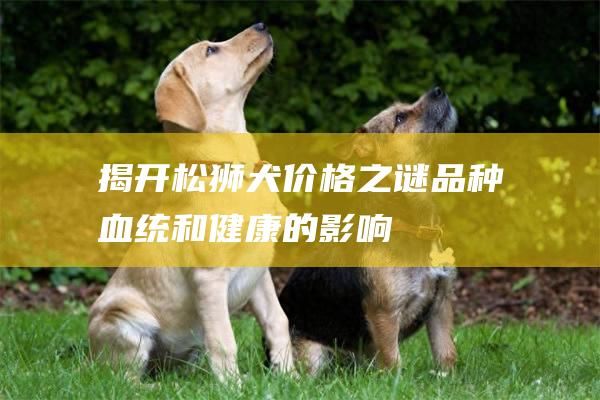 揭开松狮犬价格之谜品种血统和健康的影响