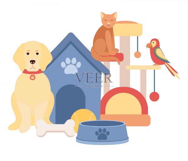 宠物店的概念。宠物食品，宠物家具，鹦鹉，猫狗及宠物用品。矢量平面插图插画图片素材