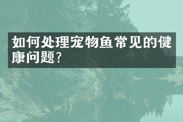 如何处理宠物鱼常见的健康问题？