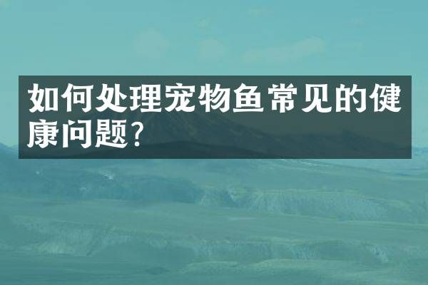如何处理宠物鱼常见的健康问题？