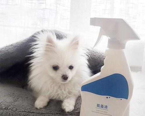 如何缓解狗狗的过敏症状（探讨针对宠物过敏的药物治疗方案）