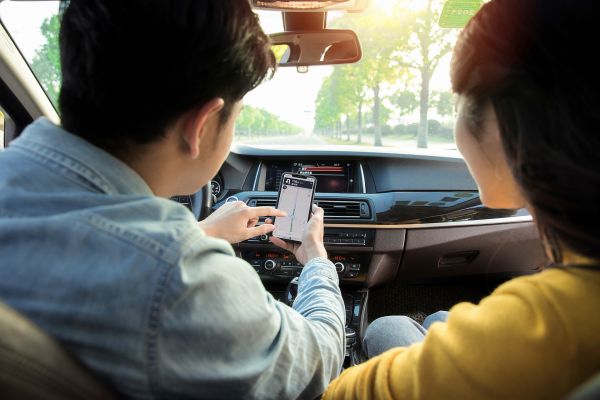 宠物体检报告单查询：让您的爱宠健康无忧 图2