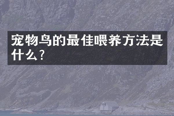 宠物鸟的最佳喂养方法是什么？