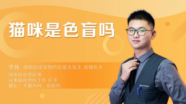 猫咪是色盲么还是色弱