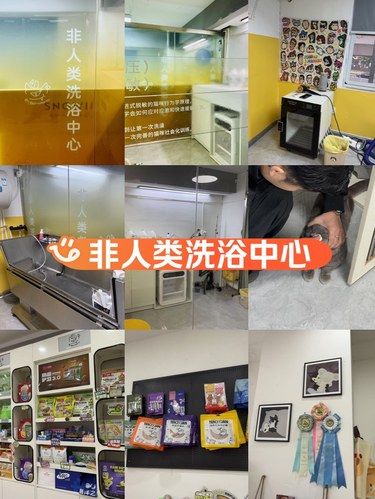 体验了一把非人类洗浴中心