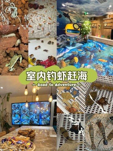 北京遛娃圣地｜不出京不早起的室内赶海