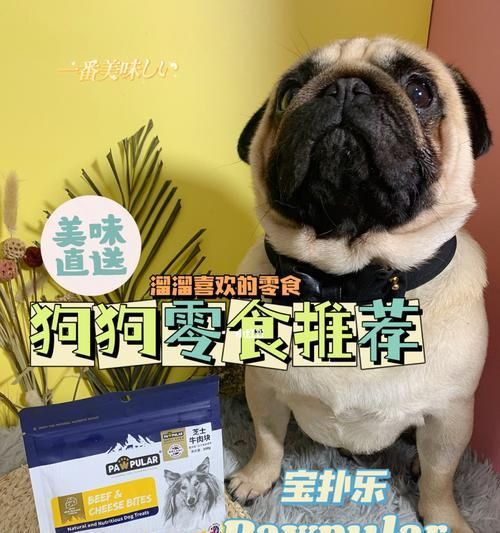 狗狗最喜欢的零食是什么？（探究狗狗的味蕾和偏好，为你的爱宠提供最佳的口味体验）