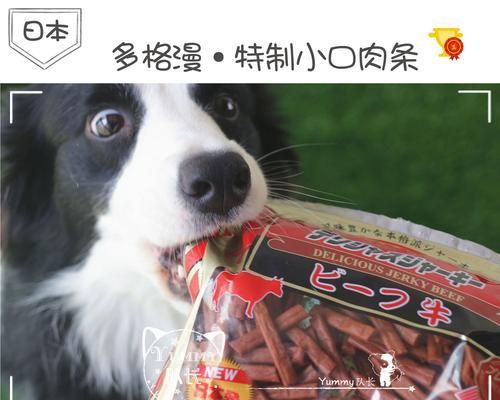 狗狗最喜欢的零食是什么？（探究狗狗的味蕾和偏好，为你的爱宠提供最佳的口味体验）