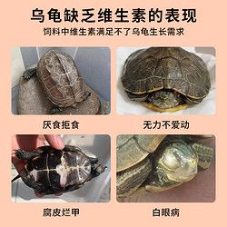 电解多维乌龟专用维生素电解质龟用改善厌食拒食补充体能增强体质