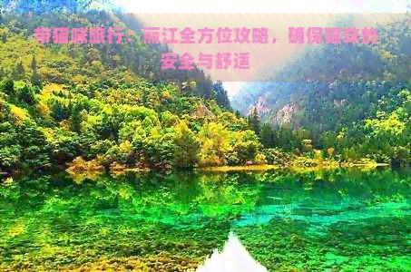 带猫咪旅行：丽江全方位攻略，确保猫咪的安全与舒适