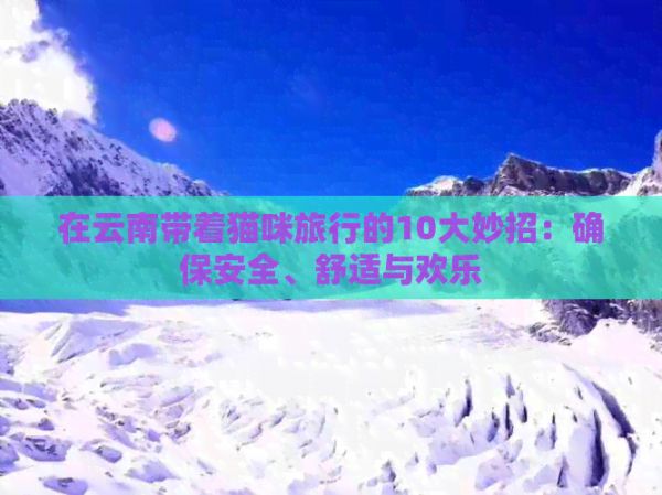 在云南带着猫咪旅行的10大妙招：确保安全、舒适与欢乐