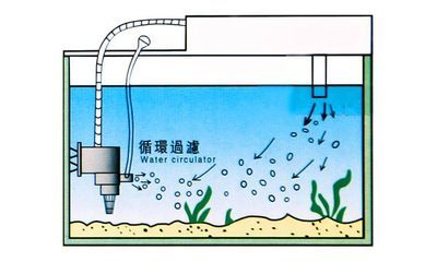 cleair鱼缸水泵怎么安装：cleair鱼缸水泵安装步骤和注意事项