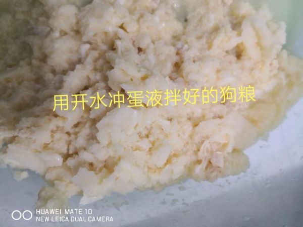 仅三步，三分钟自制猫狗粮！2块钱成本，超营养简单健康。