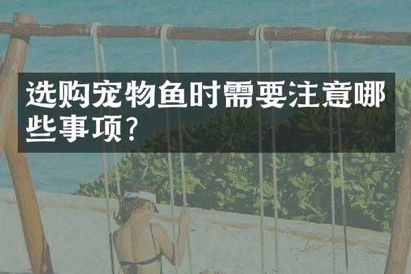 选购宠物鱼时需要注意哪些事项？