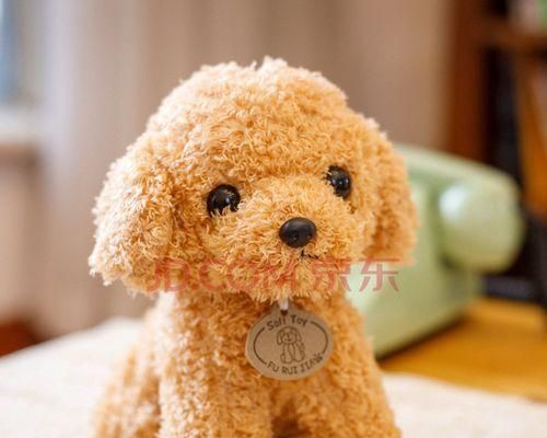 如何挑选适合你的狗狗的毛绒玩具？（宠物喜好、安全性等因素需要考虑）
