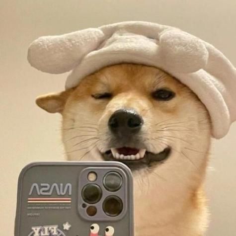 狗狗头像图片蠢萌