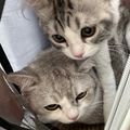 https://p0.meituan.net/userheadpicbackend/3fdd759ae95a3b754a9bd8e297c0afb51746606.jpg%40120w_120h_1e_1c_1l%7Cwatermark%3D0