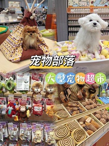 还以为是小孩玩具，没想到是毛孩子超市[惊叹]