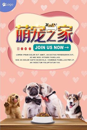 社区萌宠乐园，打造和谐人与宠物共生新模式