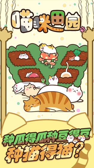 猫咪田园正版