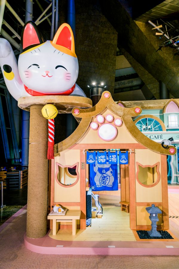 巨型猫咪萌宠乐园探秘全球最大的室内猫咪乐园，与喵星人共度欢乐时光！