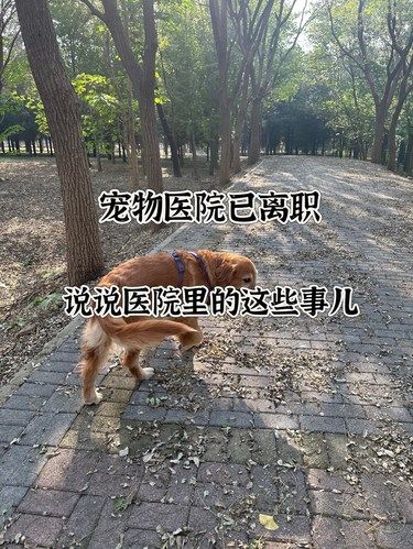 宠物医院里的人情世故‼️