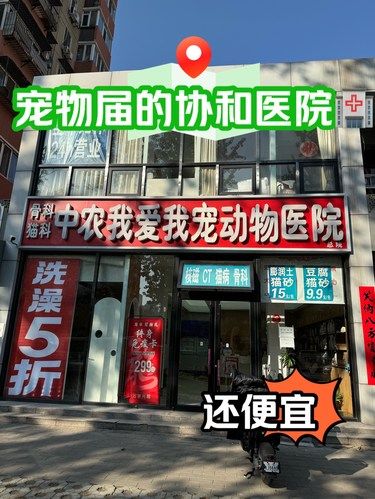 一家被严重低估的宠物医院❗️