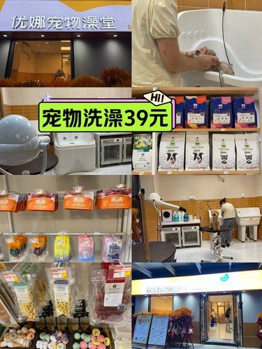 百子湾｜赶紧带宠物来洗澡，39元限定！[打卡]