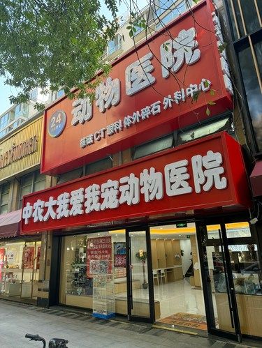 非常专业的服务，太棒了