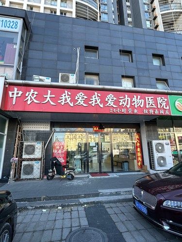 带着毛孩子洗香香啦