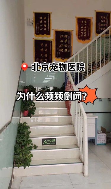 北京宠物医院为什么倒闭的这么快⁉️