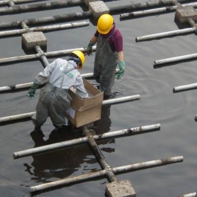 供应医药石油化工废水|进口曝气器曝气盘曝气管