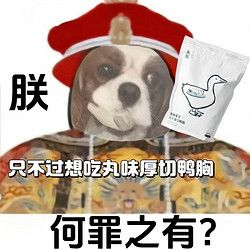 丸味 宠物零食冻干70g华英鸭泰森鸡犬猫鸭胸零添加