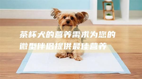 茶杯犬的营养需求为您的微型伴侣提供最佳营养