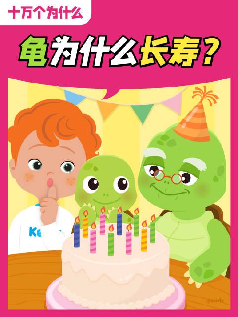 少儿社《十万个为什么》动物卷 第十二集 ↓ 龟为什么长寿？
