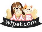 宠物健康护航:猫狗生病的有效治疗方法