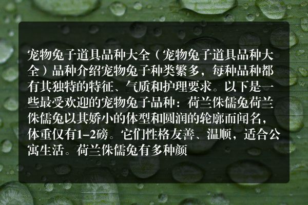 宠物兔子道具品种大全（宠物兔子道具品种大全）