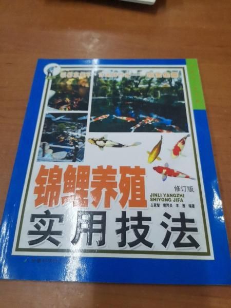 锦鲤养殖中常用的药物及其使用方法