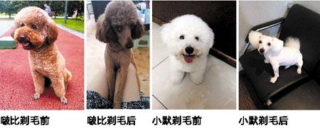 商报见习记者 黎雨寒