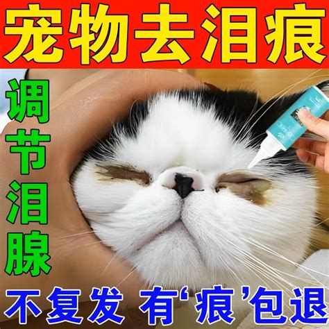 宠物洗澡用