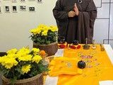 北京宠物殡葬服务电话-24h服务 价格透明